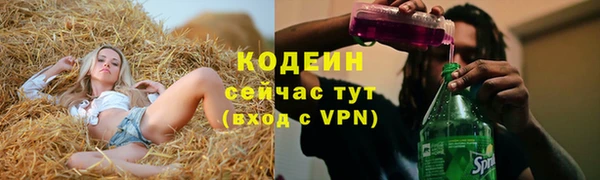 индика Абаза