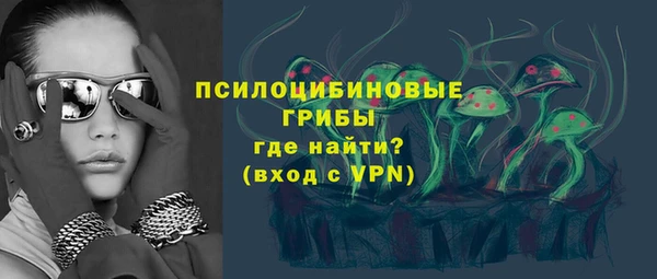 кокс Алексин