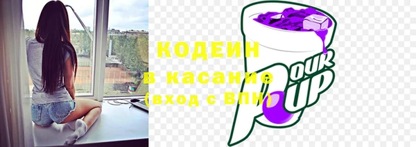 индика Абаза