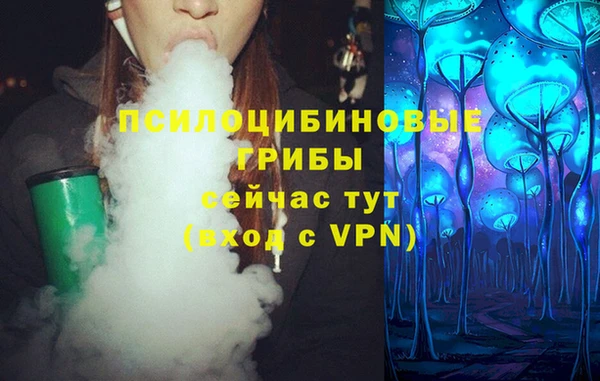 дмт Алексеевка