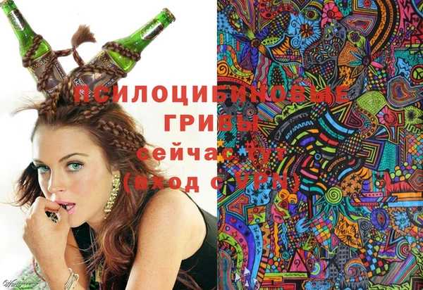индика Абаза