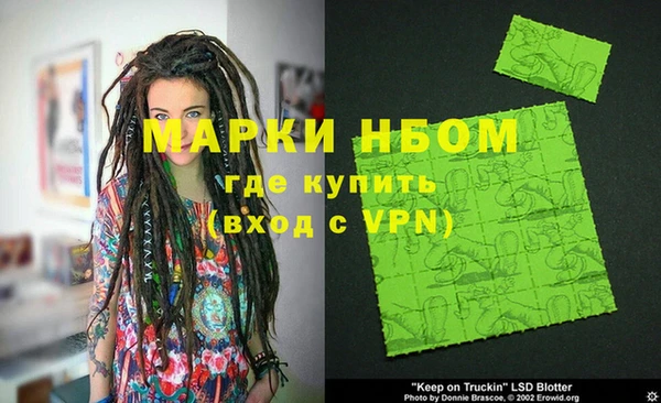 индика Абаза