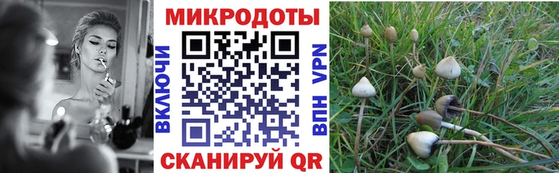 Псилоцибиновые грибы MAGIC MUSHROOMS  купить   Новоуральск 